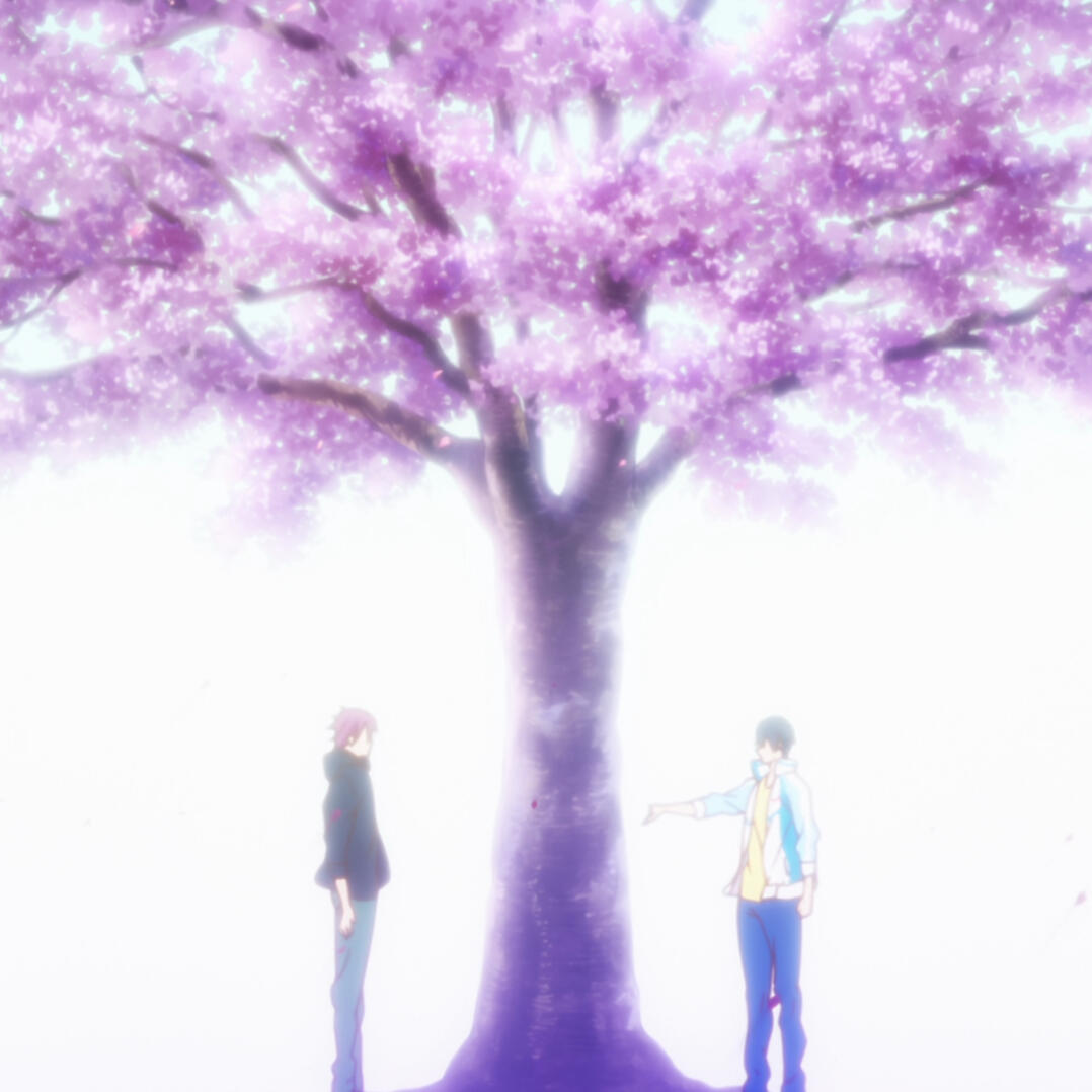 Rin and Haru under a sakura tree